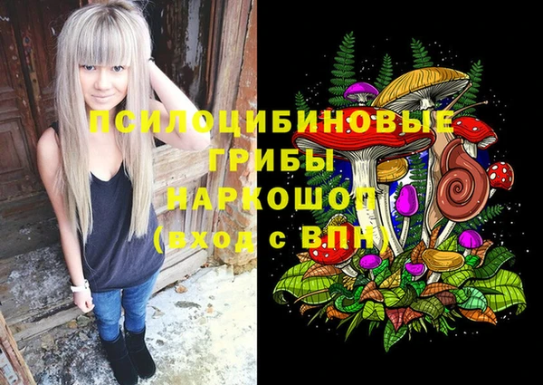 мдпв Мегион