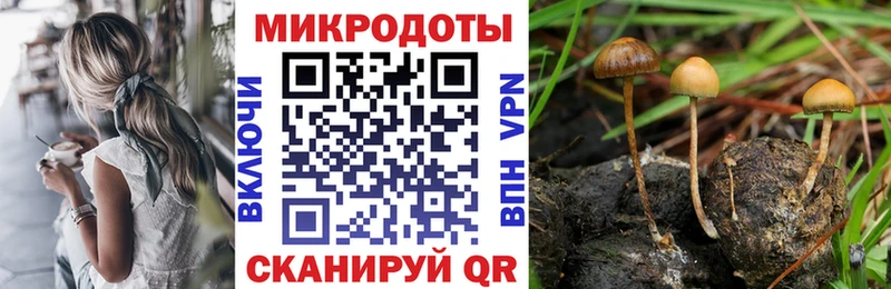 Псилоцибиновые грибы ЛСД  Купить где  Яровое 